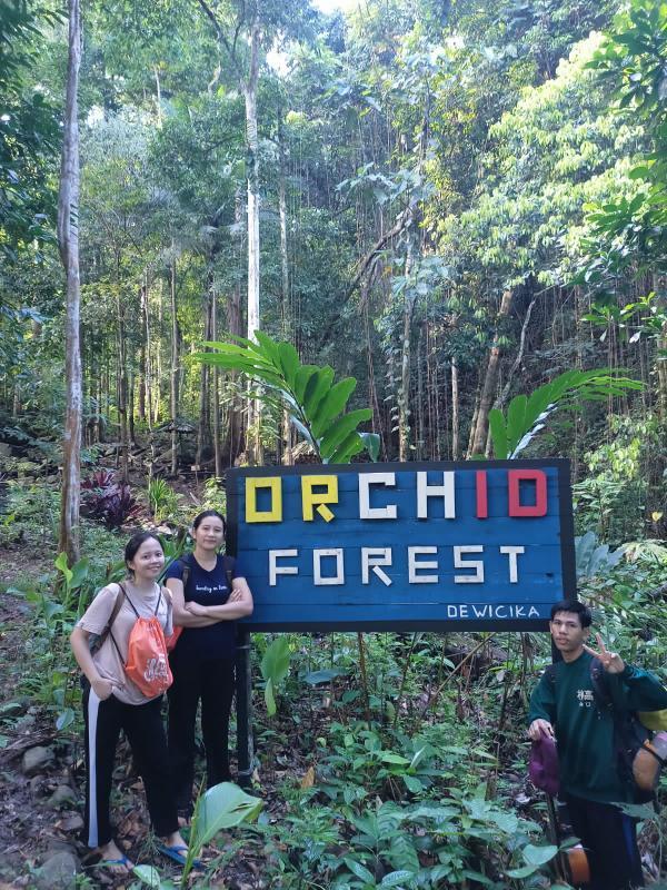 Logo of Orchid Forest Paripet Desa Wisata Cipta Karya