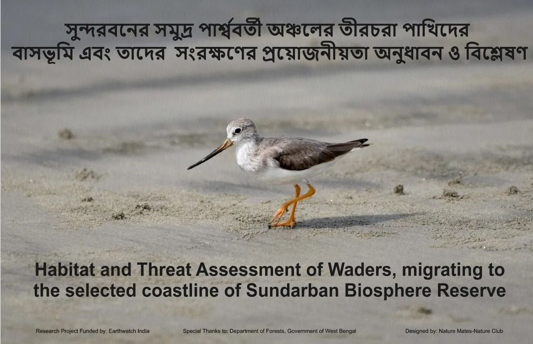 Logo of Shorebird study and awareness generation at Bakkhali, Sundarban