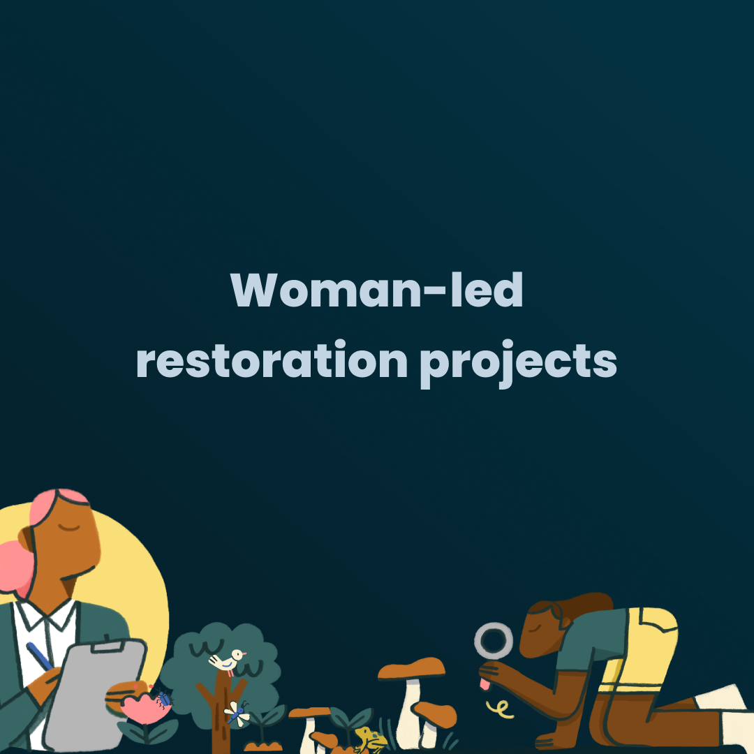 Logo of Spotlight: Woman-led restoration projects