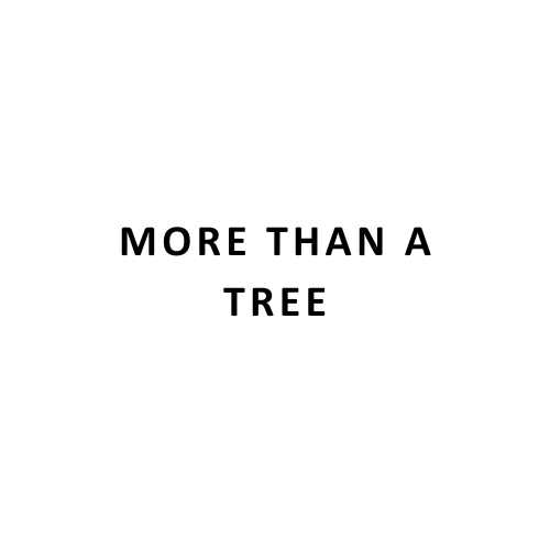 Logo of More than a Tree