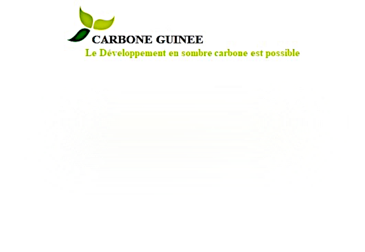 Logo of Carbone Guinée