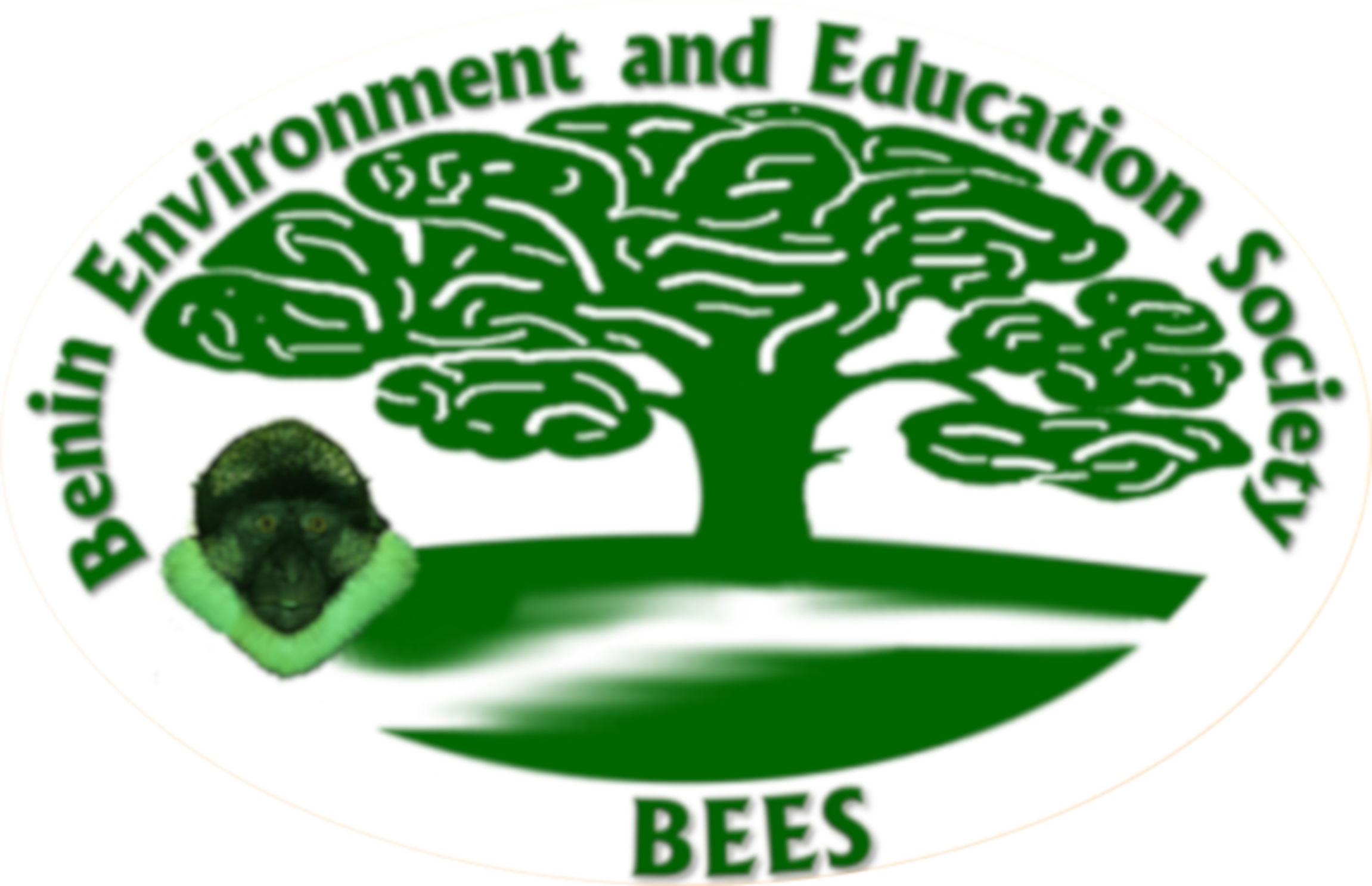 Logo of Benin Environment and Education Society (BEES NGO)