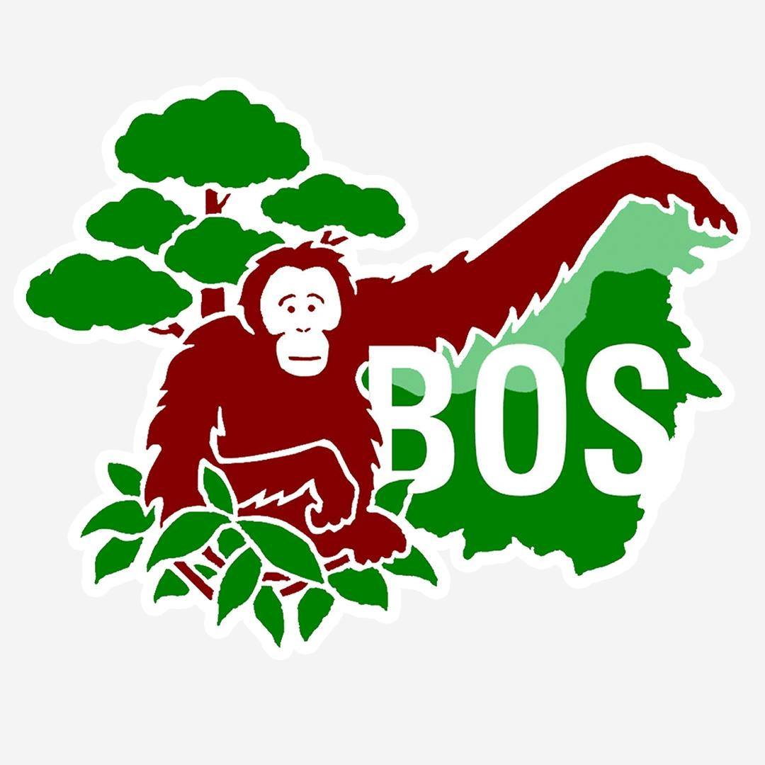 Logo of Borneo Orangutan Survival Foundation