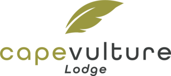 Logo of Cape Vulture Lodge 