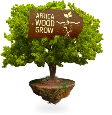 Logo of Africa Wood Grow