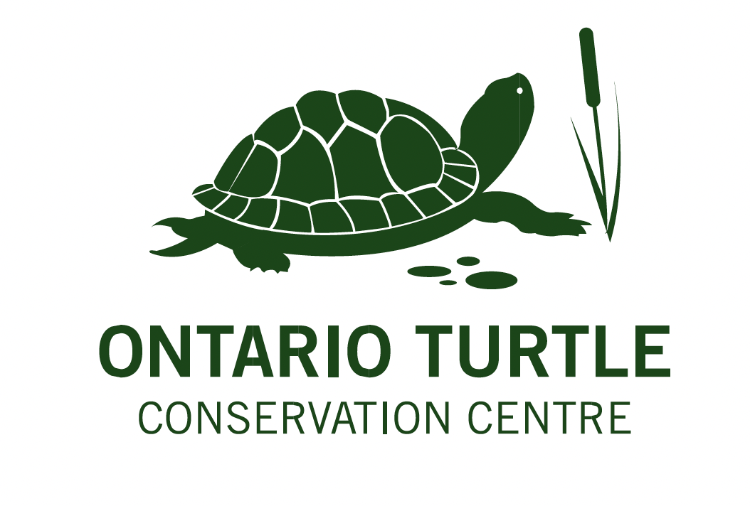 Logo of Ontario Turtle Conservation Centre