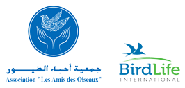 Logo of AAO Birdlife