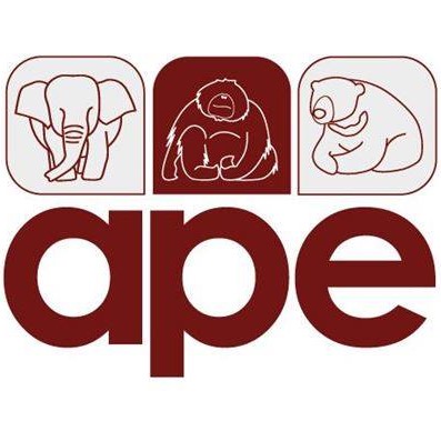 Logo of APE Malaysia