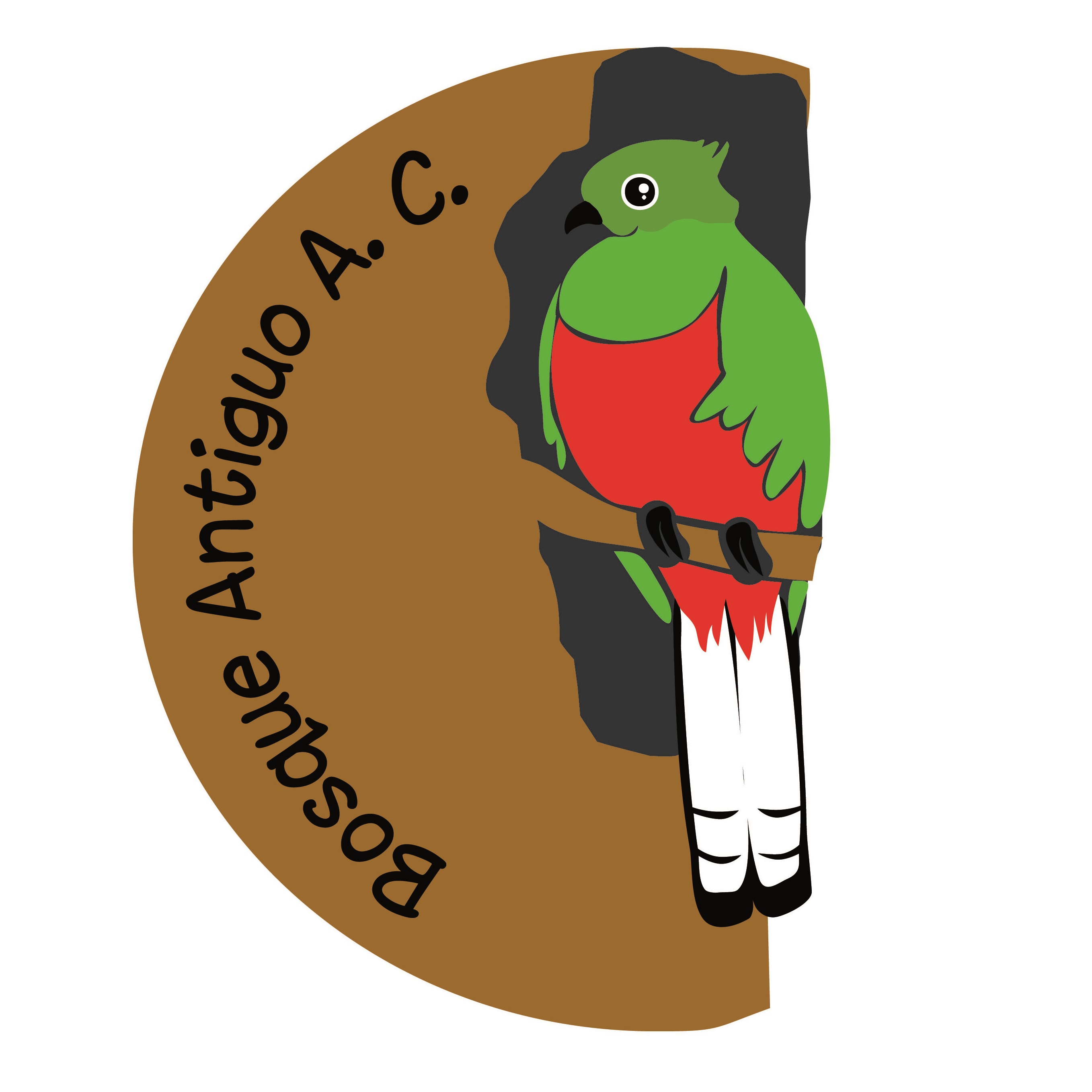 Logo of Bosque Antiguo AC